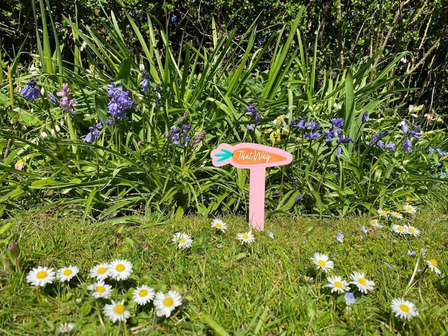 Cedra - Vintage Country Hideaway Holiday home *