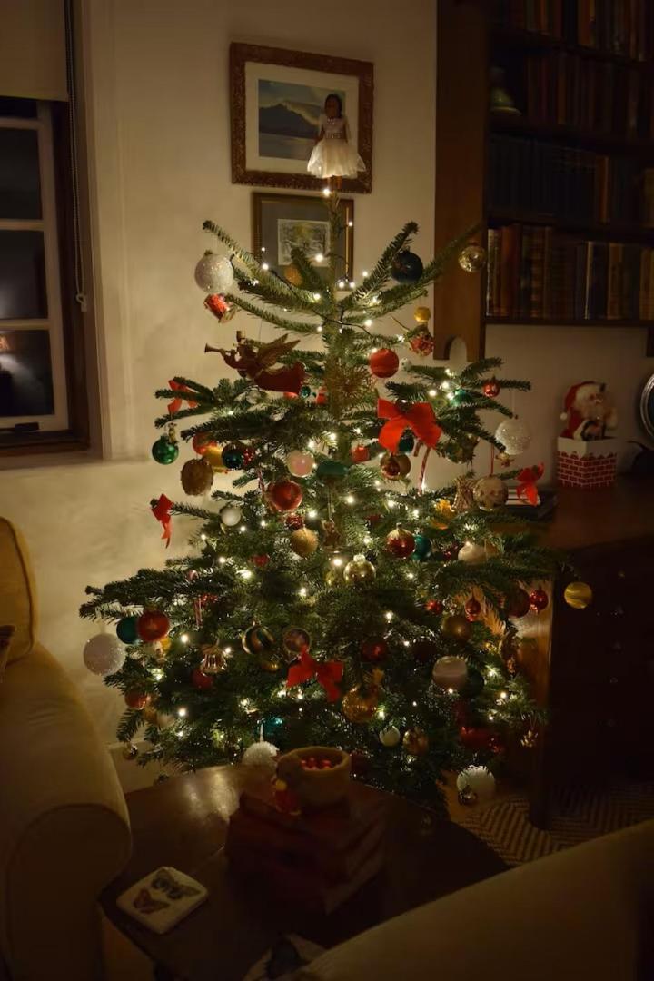 Cedra - Vintage Country Hideaway Holiday home Axminster